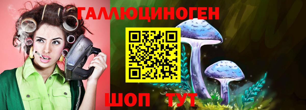 Псилоцибиновые грибы ЛСД Грозный