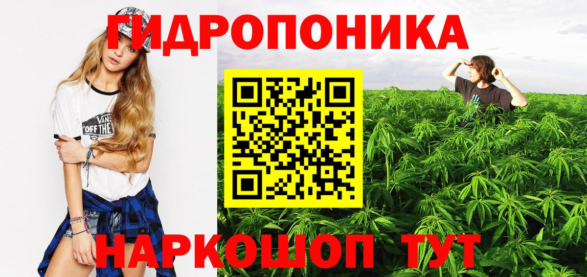 Бошки Шишки THC 21%  Бошки марихуана White Widow  Грозный  МАРИХУАНА OG Kush  Вход с VPN 